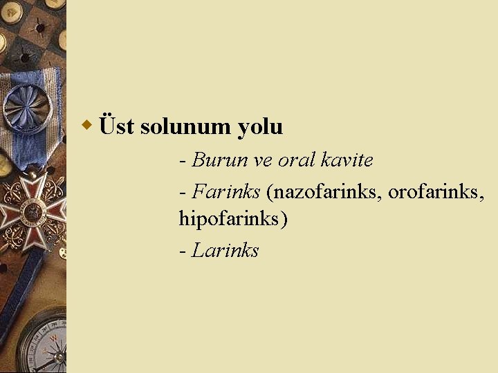 w Üst solunum yolu - Burun ve oral kavite - Farinks (nazofarinks, orofarinks, hipofarinks)