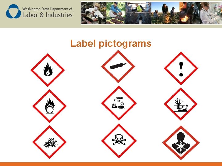 Label pictograms 