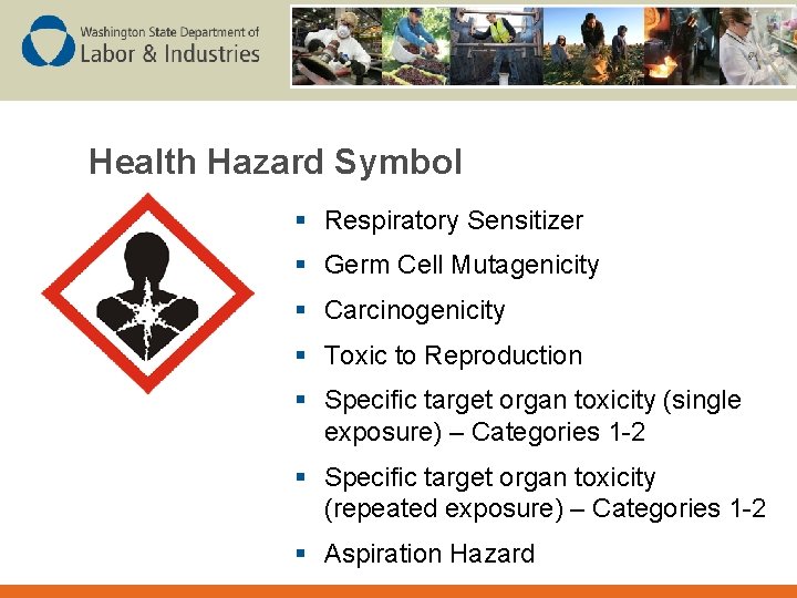 Health Hazard Symbol § Respiratory Sensitizer § Germ Cell Mutagenicity § Carcinogenicity § Toxic