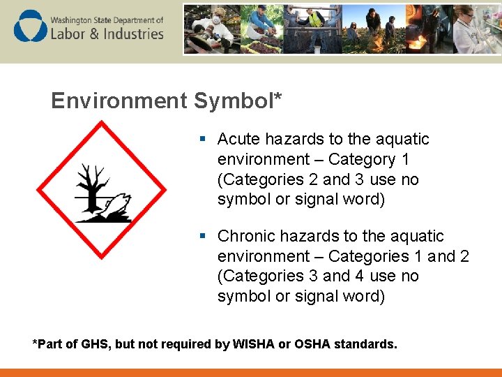 Environment Symbol* § Acute hazards to the aquatic environment – Category 1 (Categories 2