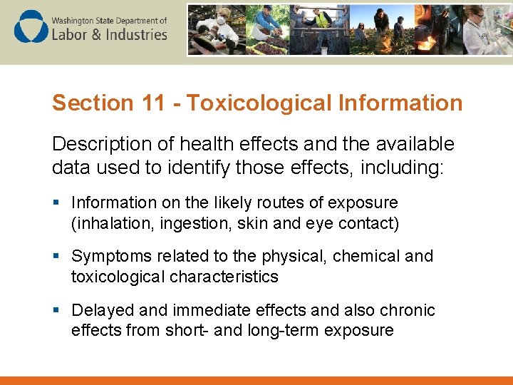Section 11 - Toxicological Information Description of health effects and the available data used