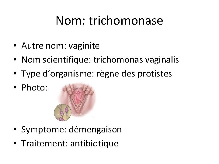 Nom: trichomonase • • Autre nom: vaginite Nom scientifique: trichomonas vaginalis Type d’organisme: règne