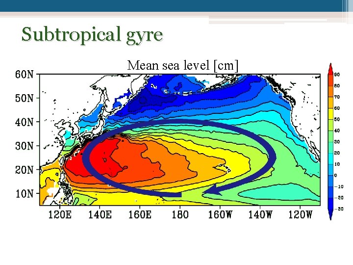 Subtropical gyre Mean sea level [cm] 