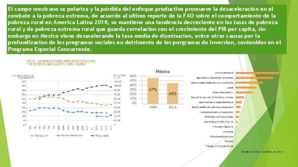 El campo mexicano se polariza y la pérdida del enfoque productivo promueve la desaceleración