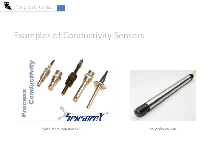 living with the lab Examples of Conductivity Sensors http: //www. sensorex. com www. globalw.