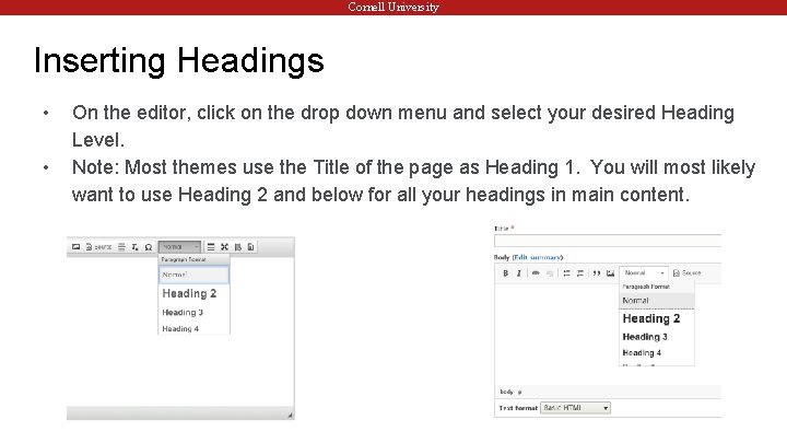 Cornell University Inserting Headings • • On the editor, click on the drop down
