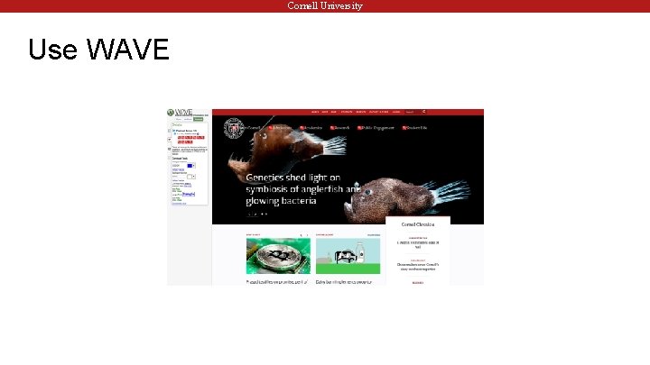 Cornell University Use WAVE 