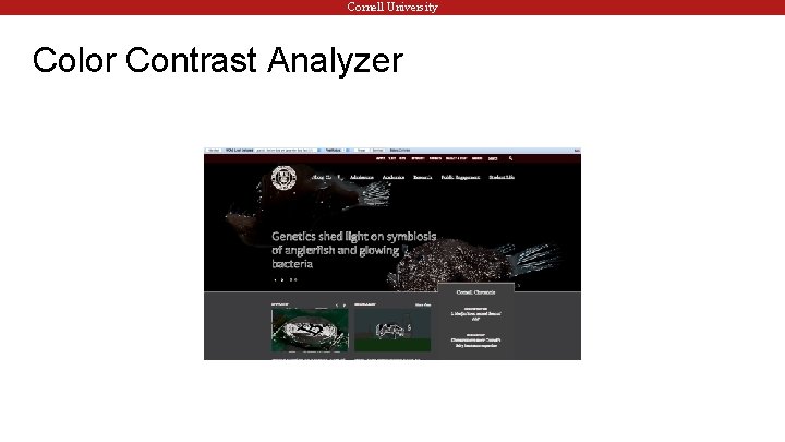 Cornell University Color Contrast Analyzer 