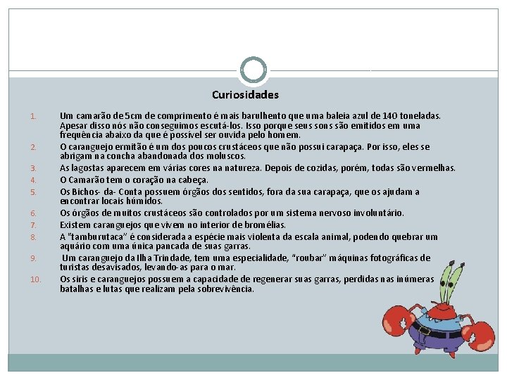 Curiosidades 1. 2. 3. 4. 5. 6. 7. 8. 9. 10. Um camarão de