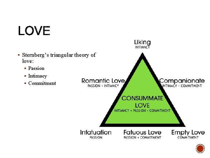 § Sternberg’s triangular theory of love: § Passion § Intimacy § Commitment 