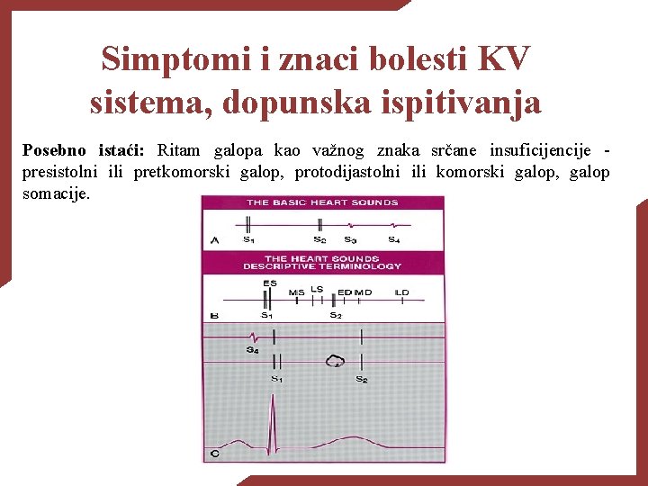 Simptomi i znaci bolesti KV sistema, dopunska ispitivanja Posebno istaći: Ritam galopa kao važnog