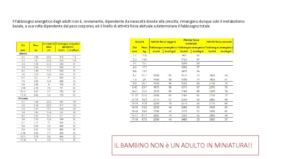 Il fabbisogno energetico degli adulti non è, ovviamente, dipendente da necessità dovute alla crescita;