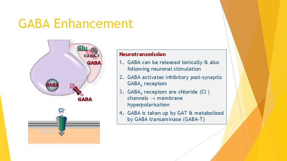 GABA Enhancement Neurotransmission 1. GABA can be released tonically & also following neuronal stimulation