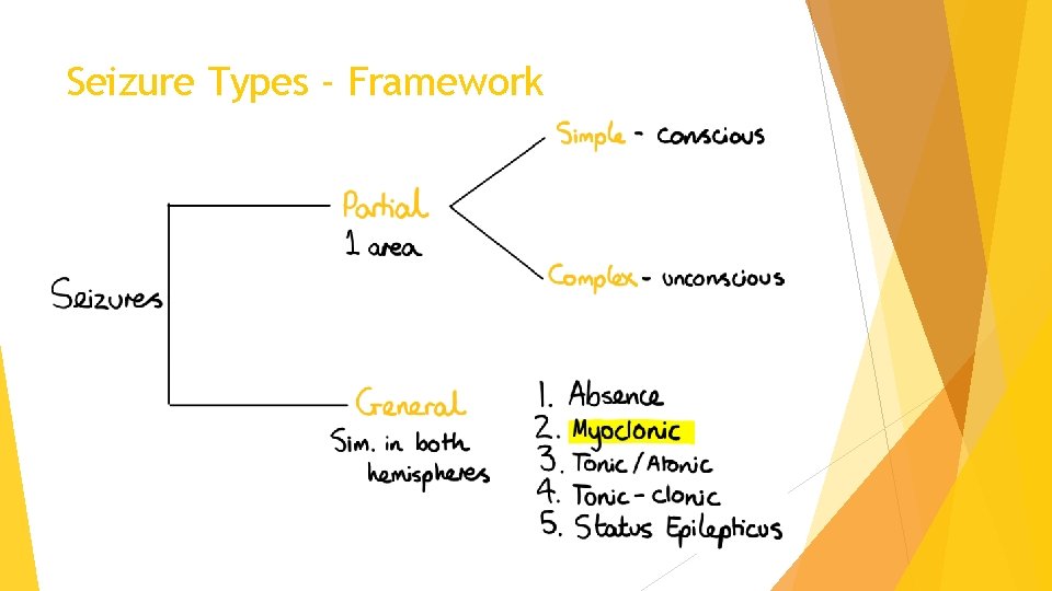 Seizure Types - Framework 