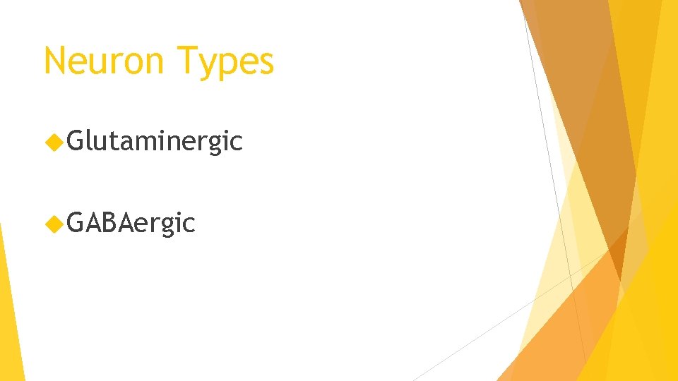 Neuron Types Glutaminergic GABAergic 