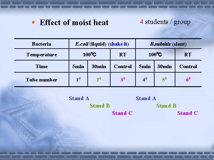 § Effect of moist heat Bacteria 4 students / group E. coil (liquid) (shake