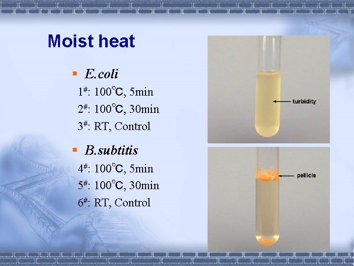 Moist heat § E. coli 1#: 100℃, 5 min 2#: 100℃, 30 min 3#: