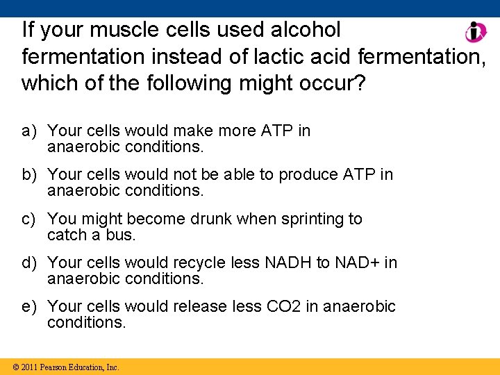 If your muscle cells used alcohol fermentation instead of lactic acid fermentation, which of If your muscle cells used alcohol fermentation instead of lactic acid fermentation, which of