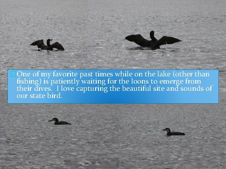 �One of my favorite past times while on the lake (other than fishing) is