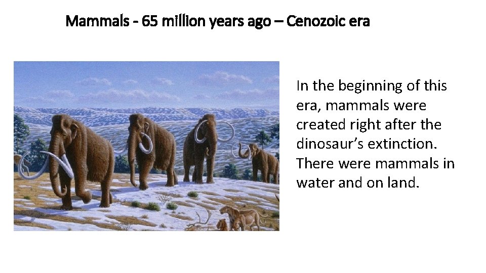 Mammals - 65 million years ago – Cenozoic era In the beginning of this
