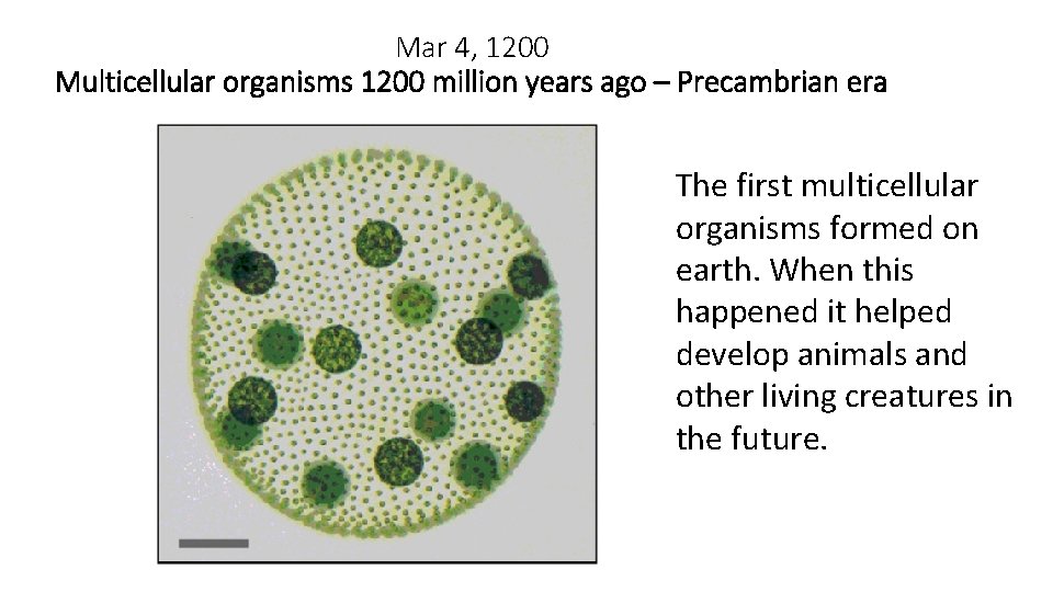 Mar 4, 1200 Multicellular organisms 1200 million years ago – Precambrian era The first