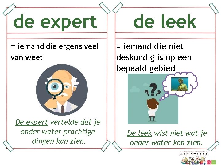 de expert = iemand die ergens veel van weet De expert vertelde dat je