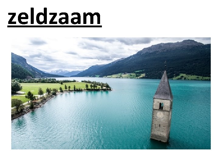 zeldzaam 