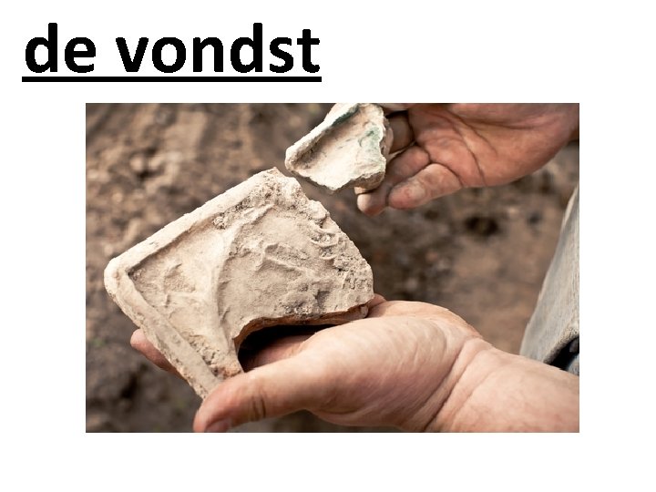 de vondst 