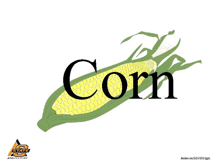 Corn Anderson/2/25/2021 ppt. 