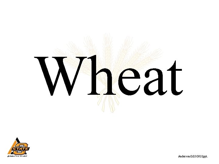 Wheat Anderson/2/25/2021 ppt. 