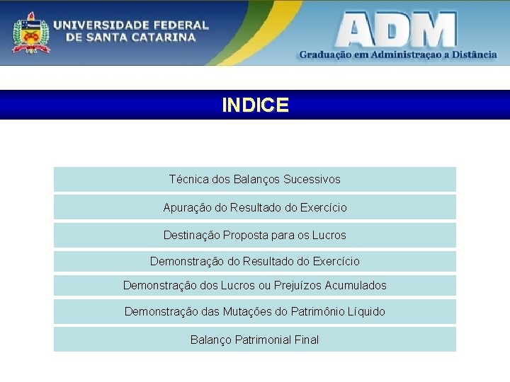 INDICE Técnica dos Balanços Sucessivos Apuração do Resultado do Exercício Destinação Proposta para os