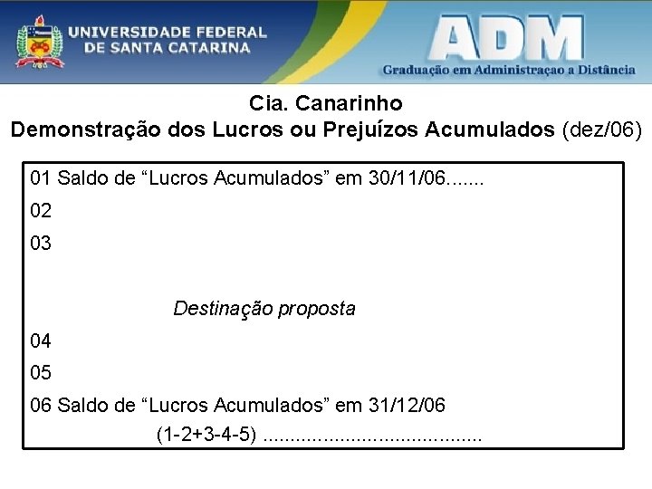 Cia. Canarinho Demonstração dos Lucros ou Prejuízos Acumulados (dez/06) 01 Saldo de “Lucros Acumulados”