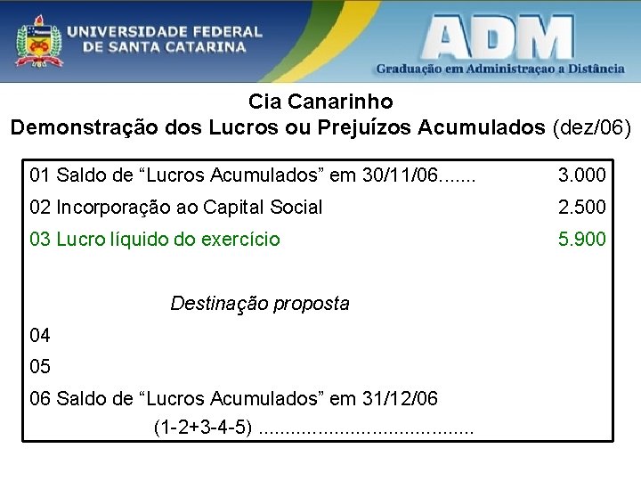 Cia Canarinho Demonstração dos Lucros ou Prejuízos Acumulados (dez/06) 01 Saldo de “Lucros Acumulados”