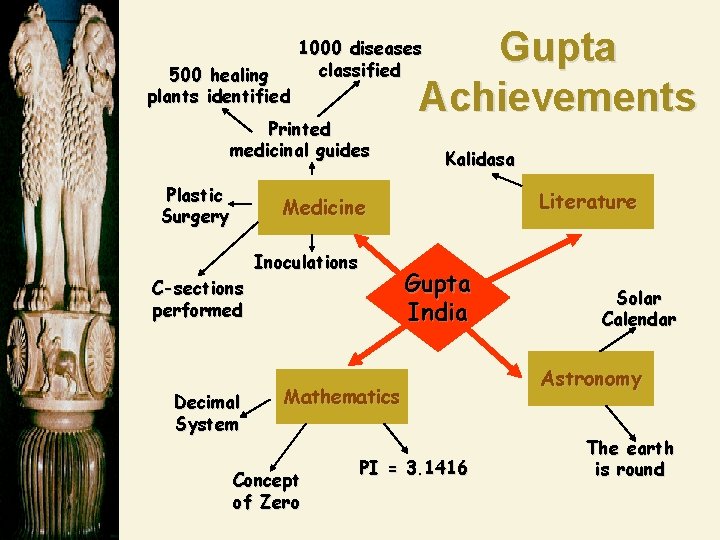 500 healing plants identified Printed medicinal guides Plastic Surgery Gupta Achievements 1000 diseases classified