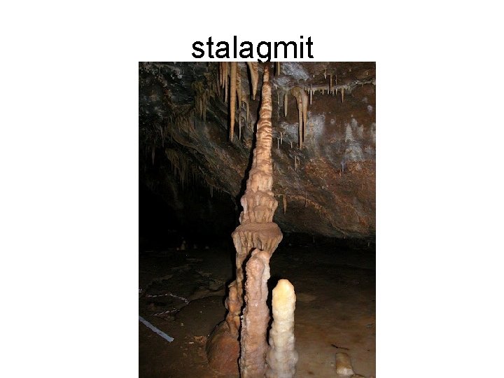 stalagmit 