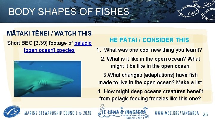 BODY SHAPES OF FISHES MĀTAKI TĒNEI / WATCH THIS HE PĀTAI / CONSIDER THIS