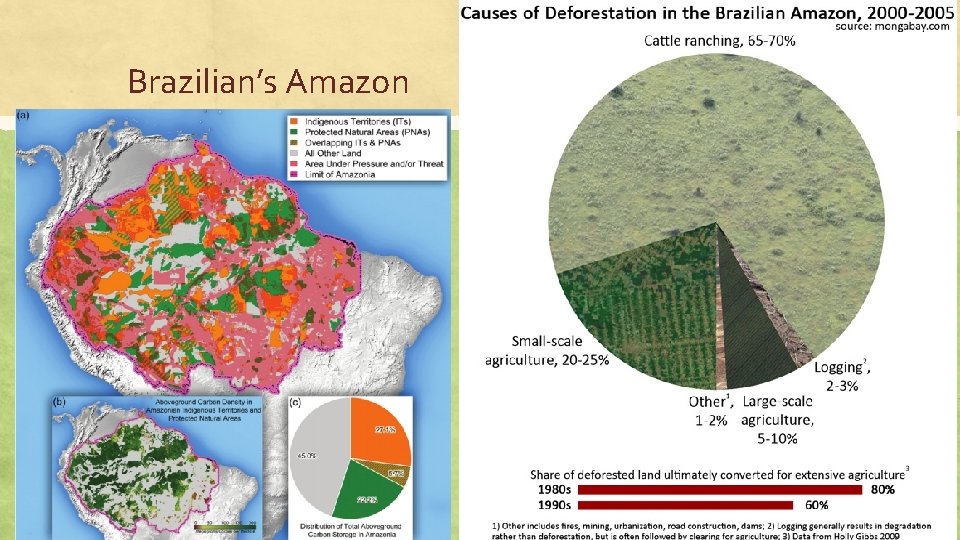 Brazilian’s Amazon 