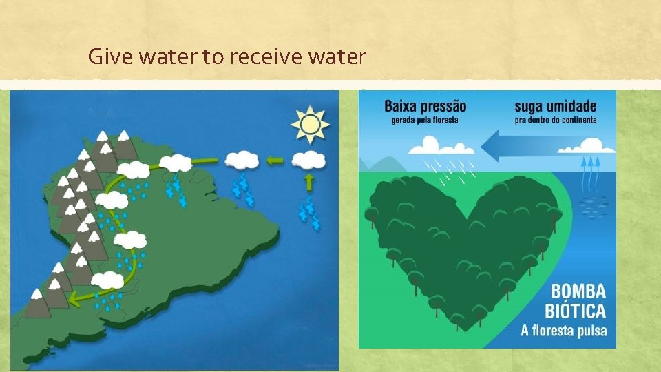 Give water to receive water ▪ High transpiration/condensation ▪ Lower atmospheric pressure ▪ Self