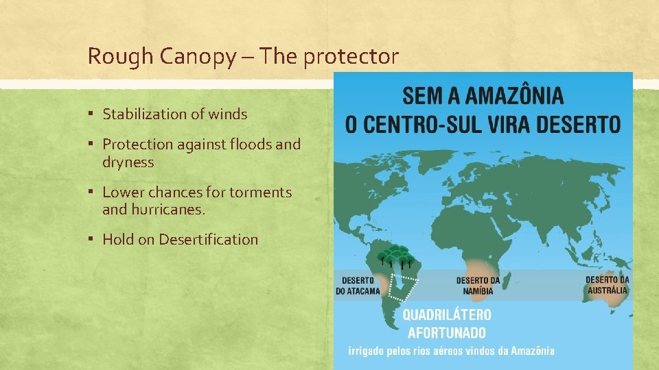 Rough Canopy – The protector ▪ Stabilization of winds ▪ Protection against floods and