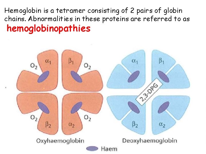 Hemoglobin is a tetramer consisting of 2 pairs of globin chains. Abnormalities in these