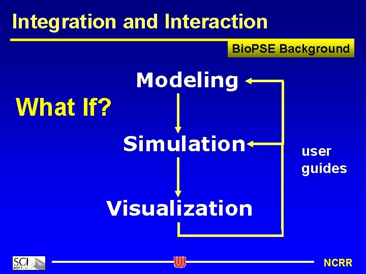 Integration and Interaction Bio. PSE Background Modeling What If? Simulation user guides Visualization NCRR