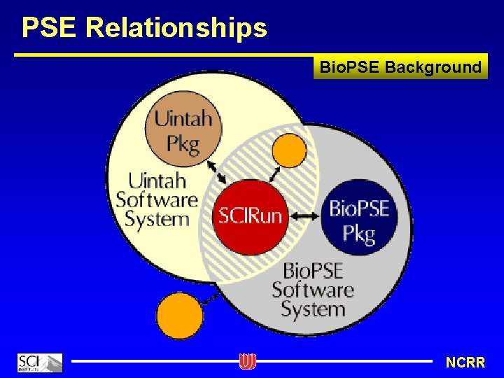 PSE Relationships Bio. PSE Background NCRR 