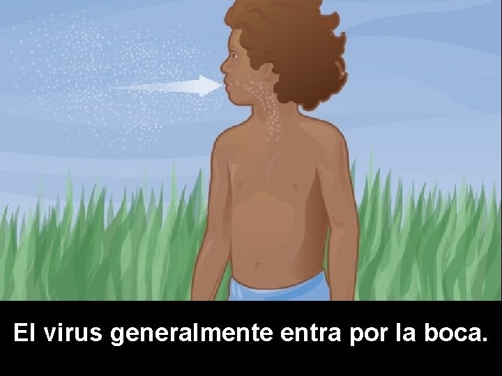 El virus generalmente entra por la boca. 