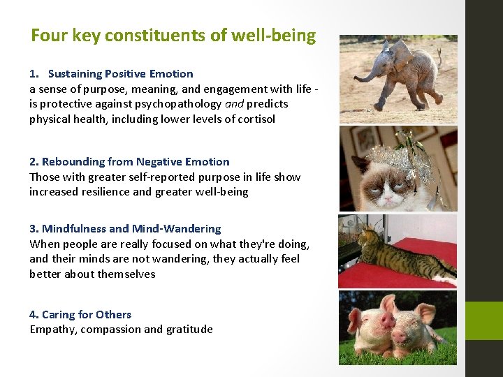 Four key constituents of well-being 1. Sustaining Positive Emotion a sense of purpose, meaning,