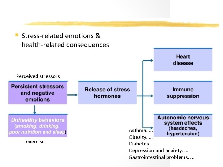 Stress-related emotions & health-related consequences Perceived stressors exercise Asthma. . Obesity. . Diabetes. .