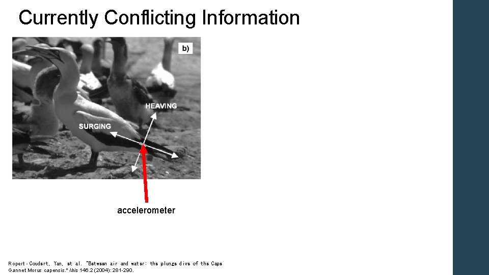 Currently Conflicting Information accelerometer Ropert‐Coudert, Yan, et al. "Between air and water: the plunge