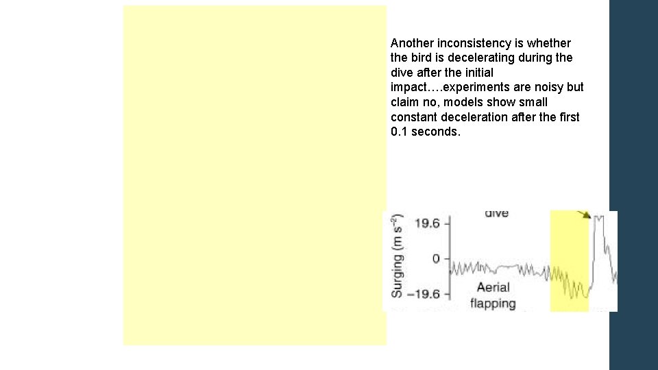 Another inconsistency is whether the bird is decelerating during the dive after the initial