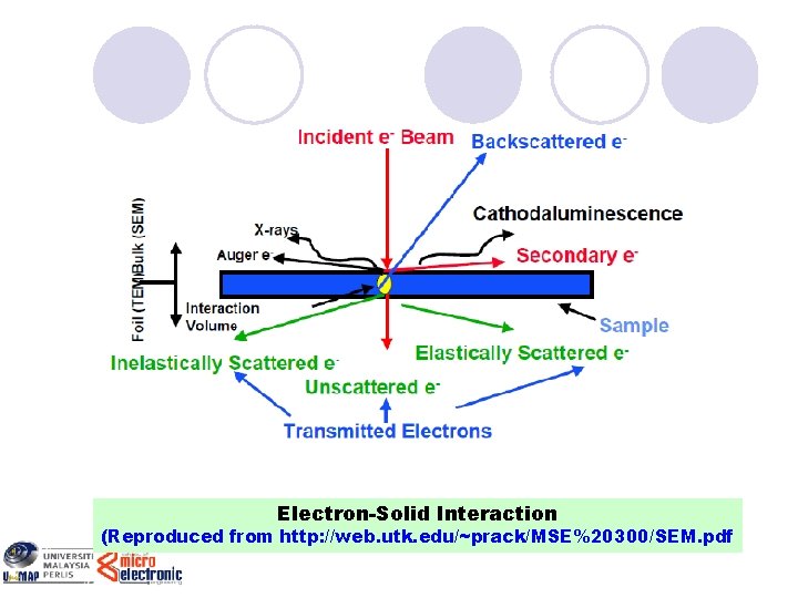 Electron-Solid Interaction (Reproduced from http: //web. utk. edu/~prack/MSE%20300/SEM. pdf 