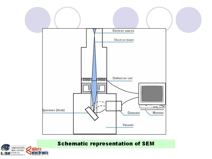 Schematic representation of SEM 