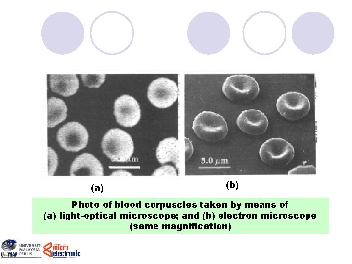 (a) (b) Photo of blood corpuscles taken by means of (a) light-optical microscope; and